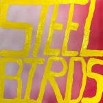 Cover:  - Steel Birds