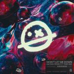 Cover: Teddy Bee - Won't Let Me Down