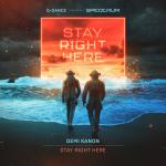 Cover: Demi Kanon - Stay Right Here