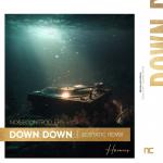 Cover: Noisecontrollers - Down Down (Ecstatic Remix)
