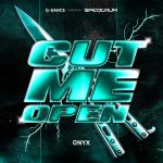 Cover: ONYX - Cut Me Open
