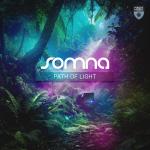 Cover: Somna &amp; Kaidro &amp; Ellie D. - I Wish You Could See