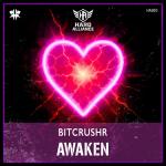 Cover: BITCRUSHR - Awaken