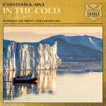 Cover: C-Systems &amp; Aina - In The Cold