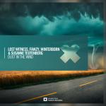 Cover: Lost Witness - Dust In The Wind