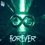 Cover: Dynamic Noise - Forever