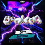 Cover: Cally - Rave Power