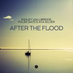 Cover: Ashley Wallbridge &amp; Pulse Gate &amp; Ava Silver - After The Flood