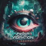 Cover: Vibration - The Secret