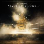 Cover: Wildstylez ft. Amanda Collis - Never Back Down