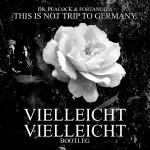 Cover: Fortanoiza - This Is Not Trip To Germany (Vielleicht Vielleicht Bootleg)