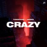 Cover: Jaimes - Crazy