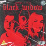Cover: Radera - Black Widow