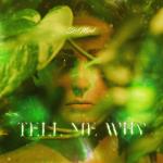 Cover: D-Mind - Tell Me Why