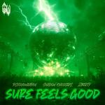 Cover: Shadow - Sure Feels Good