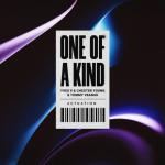Cover: Chester Young - One Of A Kind