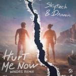 Cover: Skytech - Hurt Me Now (WNDRS Remix)