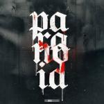 Cover: Nanostorm - Slaying Demons