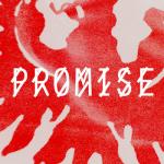 Cover: Somewhen - Promise