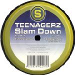 Cover: Teenagerz - Slam Down