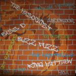 Cover: Buzz Fuzz - Hardkoor (Bass-D & King Matthew Remix)