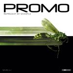Cover: Promo - Represent By Example