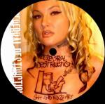 Cover: The Destroyer - Torture (The Destroyer Remix)