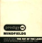 Cover: The Prodigy - Mindfields