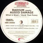 Cover: Audio Damage - What U Want (Is Fucking Bondi Beach Girls Mix)