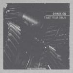 Cover: D-passion - Twist Your Brain