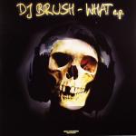 Cover: DJ Brush - What U Feel