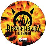 Cover: Br41nh34dz - 100 Percent