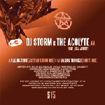 Cover: Storm & The Acolyte Ft. Lisa Abbott - Falling Through (Orbit1 Mix)