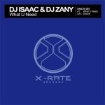 Cover: Dj Isaac - What U Need